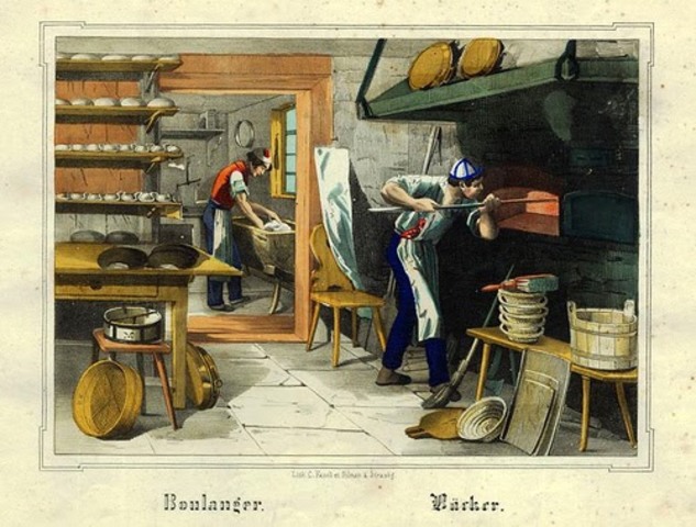 Nuevos Oficios Y Profesiones