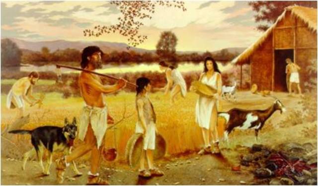 Diversificación de cacería