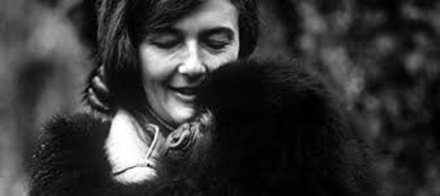 Dian Fossey