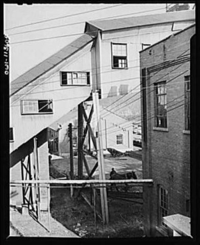 Pittsburgh Coal Company Merges