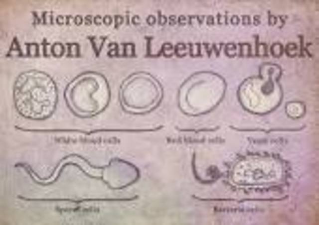 Anton van Leeuwenhoek observes bacteria.