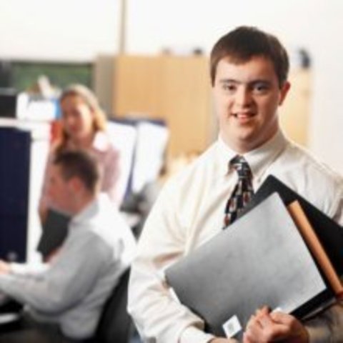 CREACION DEL COMITE INTERINSTITUCIONAL PARA LA INSERCION LABORAL DE PERSONAS CON DISCAPACIDAD