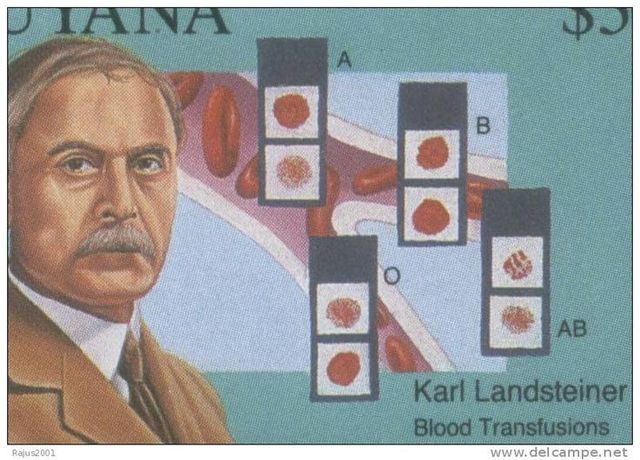 Karl Landsteiner introduces the system to classify blood into A, B, AB, and O groups