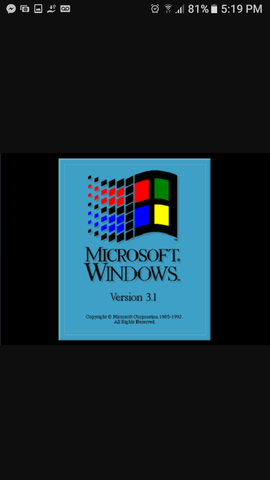 Windows 3.1