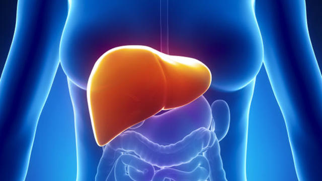 The first human liver was grown from stem cells in Japan.