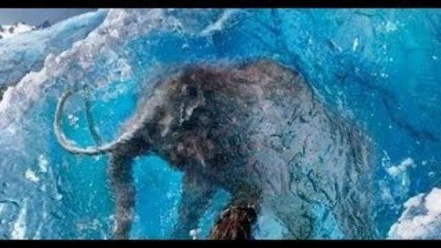 Se usa el hielo como un conservador de alimentos