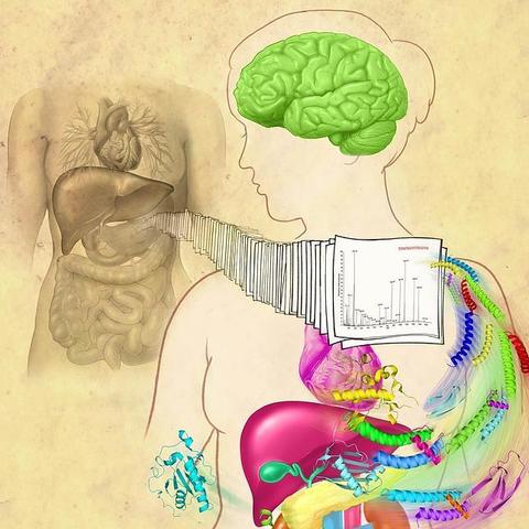 Se descubren las proteínas