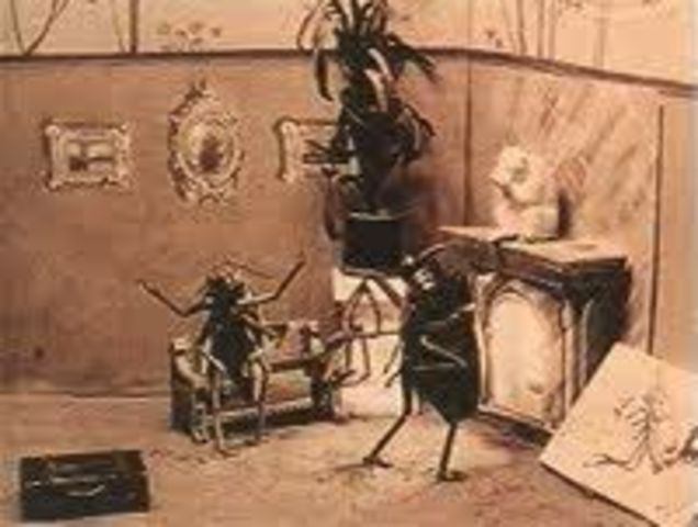 Little Nemo y Escarabajos en Stop motion