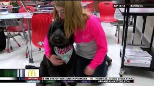 Bella, First School Therapy Dog in Arkansas