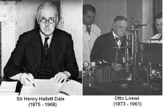 Henry Dale  y Otto Loewi