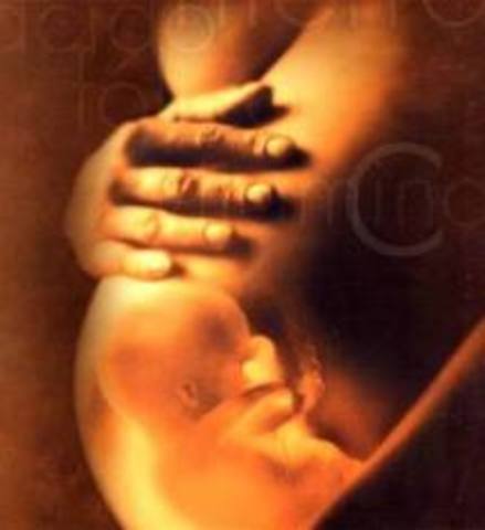 Desarrollo psicosocial