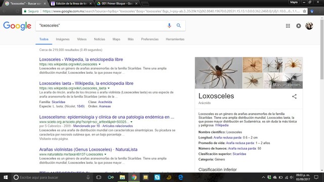 Sesión 4: Buscadores académicos y formas de búsqueda