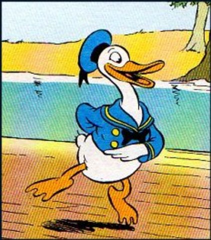 Primera cámara con planos