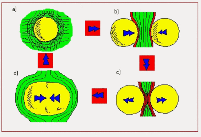 Teoría de la unificación: avances