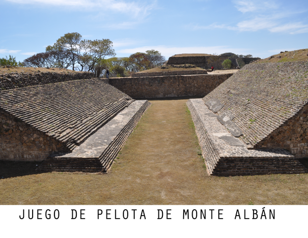 Características de las plataformas