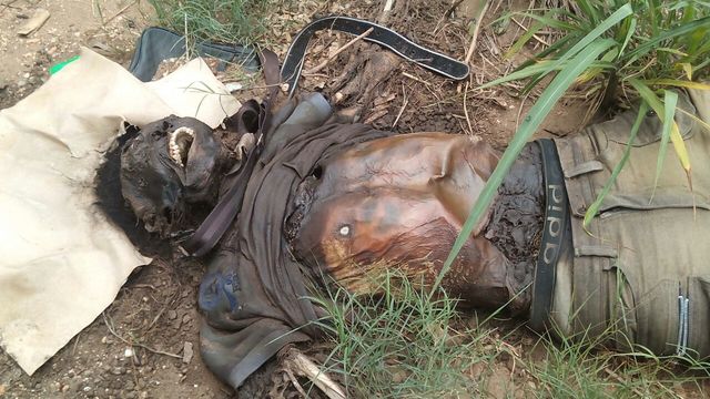 Alcaloides y putrefacción