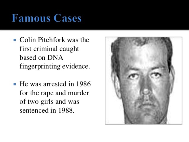 Primer condena a un criminal usando la huella genética