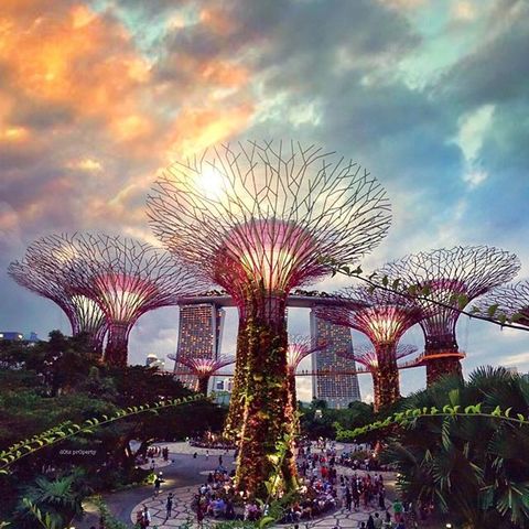 Gardens by the Bay