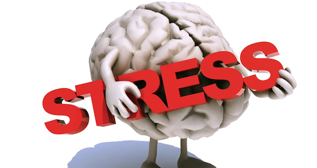 Stress and how it effects us