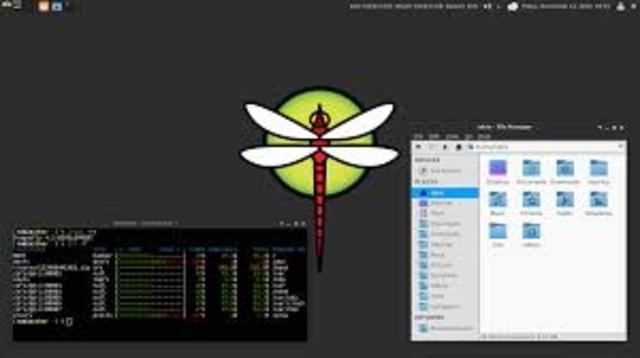de DragonFly BSD