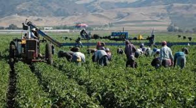 Estados Unidos ofrece el programa de trabajadores temporales.