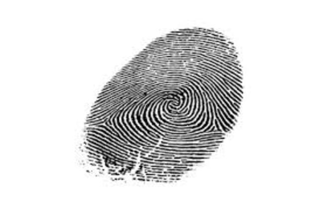 Estudio especializado de huellas dactilares