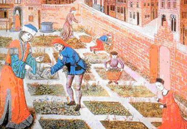 Economía señorial 900