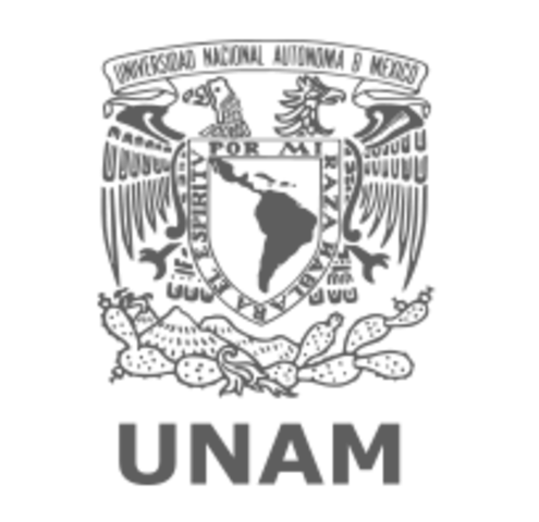 Posgrado Psicologìa de la Salud en la UNAM