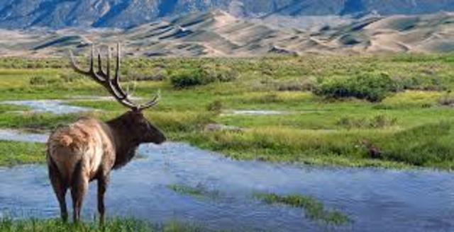 Día Mundial del Hábitat