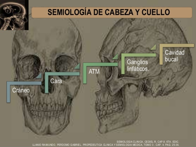 Semiologia de cabeza