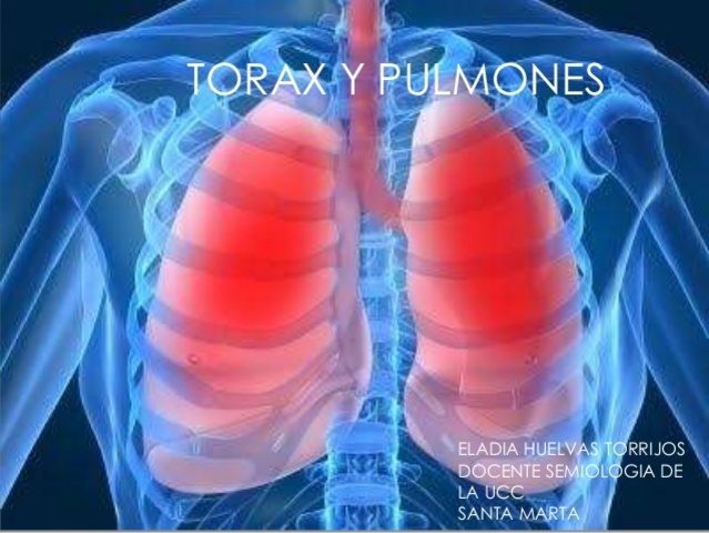 Semiologia de torax y respiratoria