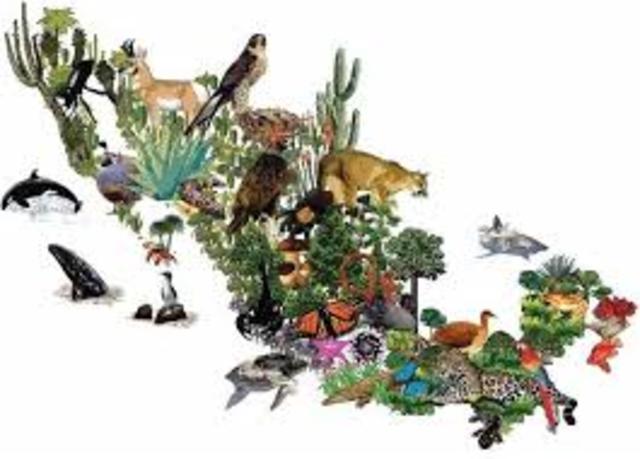 LEY GENERAL DE VIDA SILVESTRE