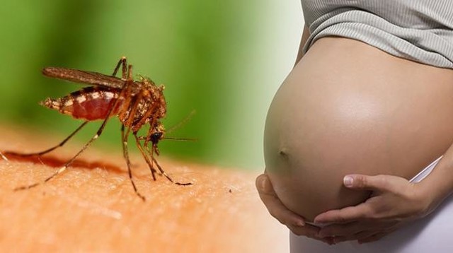 Infección por el virus de Zika