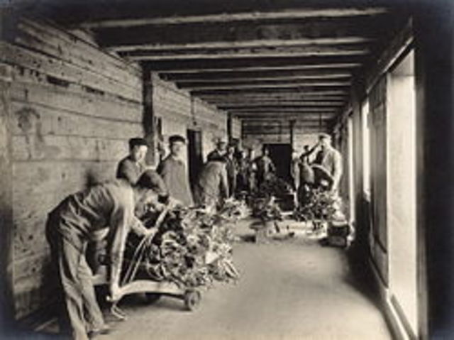 Tyske hansaforbundet