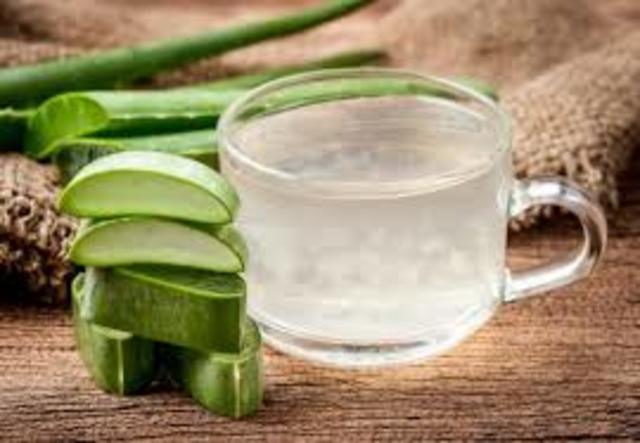 1970-2017 Usos modernos del gel de Aloe Vera.