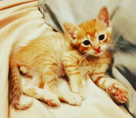 Welcome to the Family, Hazel