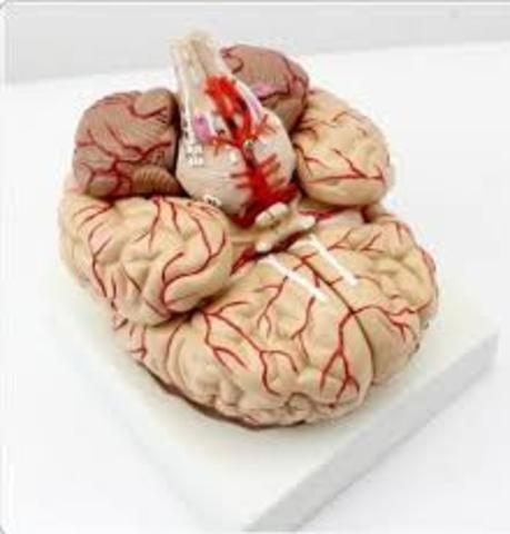 Dr. Edward Jenner first introduced the idea of vaccination