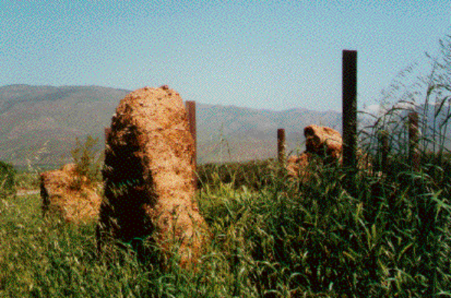 Fundación de la misión