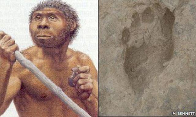 1.6 Million years ago - Homo Erectus