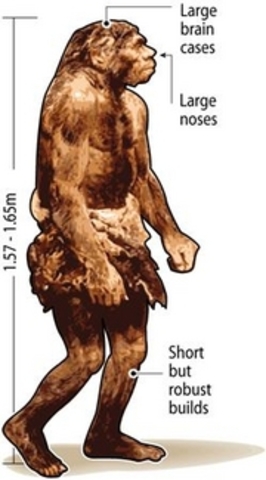 200,000 B,C Neanderthal