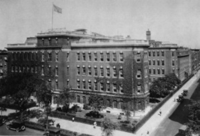 Harlem Hospital