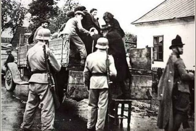 Bácska-Bánát magyar visszafoglalása