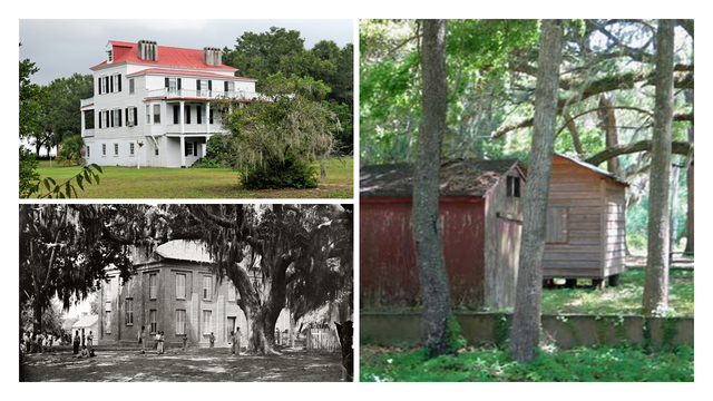 Frogmore, SC | The Land, Part 1 of 2