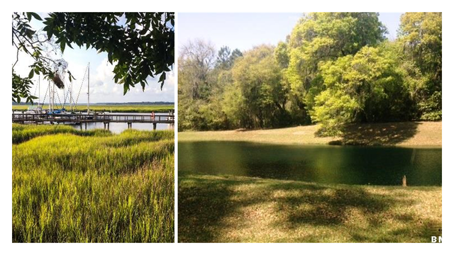 Frogmore, SC | The Land Part 2 of 2