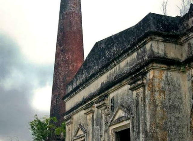 El henequen llega a su fin