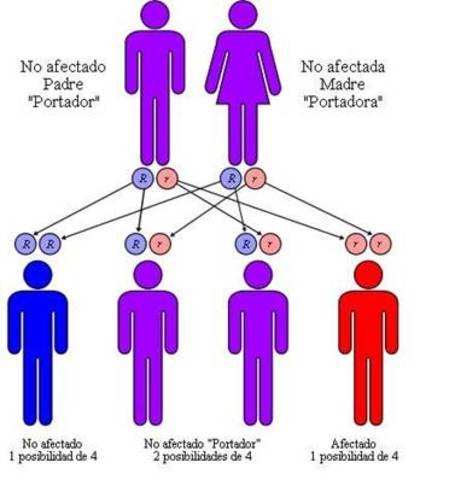 Herencia de caracteres