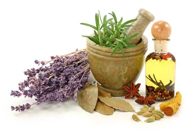 Uso de plantas medicinales (herbolaria)