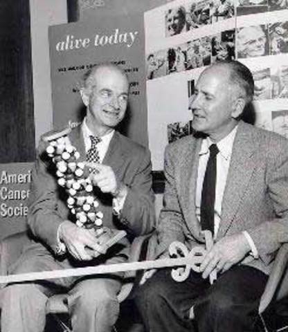 Estructura de las proteínas