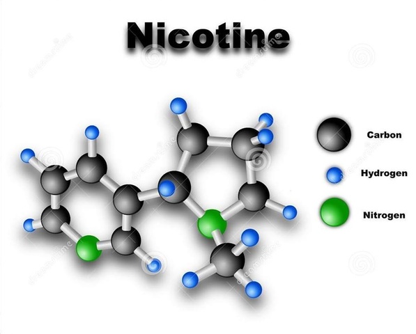 Se establece la formula de la Nicotina