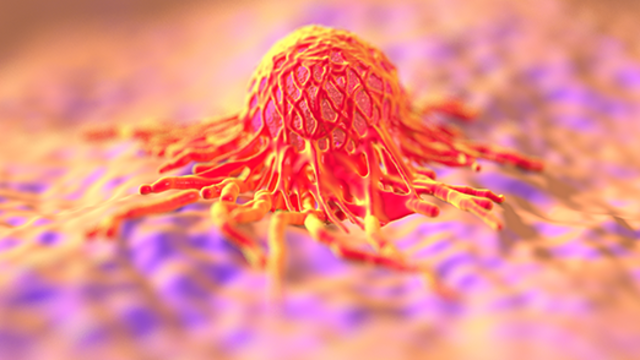 VACUNA CONTRA EL VIRUS DEL PAPILOMA HUMANO (IAN FRASE)